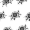 Sunflower seamless background, black and white floral design for wallpaper, wrapping and fabric, vintage sunflower textile design Royalty Free Stock Photo