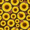 Sunflower seamless pattern