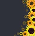 Sunflower seamless pattern background