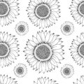 Sunflower seamless pattern. Hand drawn illustration. Food ingredient vintage sketch. Royalty Free Stock Photo