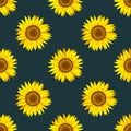 Sunflower seamless pattern on a navy blue background