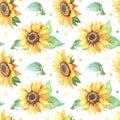 Sunflower seamless pattern.Realistic illustration with big yellow Helianthus flower