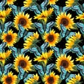 Sunflower seamless pattern. Sunflower fabric background