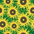 Sunflower seamless pattern
