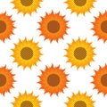 sunflower seamless pattern on white background Royalty Free Stock Photo