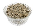 Sunflower seed Royalty Free Stock Photo