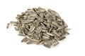 Sunflower seed Royalty Free Stock Photo