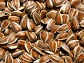 Sunflower seed Royalty Free Stock Photo