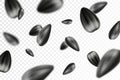 Sunflower seed background. Flying sunflower seed isolated on transparent background. Selective focus. Can be used for advertising