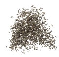 Sunflower seed grain fly in air. Sunflower seed falling scatter, explosion float in shape form line group. White background