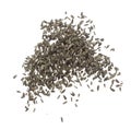 Sunflower seed grain fly in air. Sunflower seed falling scatter, explosion float in shape form line group. White background