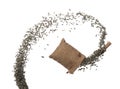 Sunflower seed grain fly in sack bag. Sunflower seed falling scatter, explosion float in shape form line group. White background