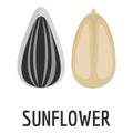 Sunflower seed icon, flat style Royalty Free Stock Photo