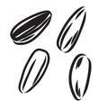 Sunflower seed isolated on white background. Hand drawn sketch. Vector illustration. Royalty Free Stock Photo