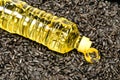 Sunflower-seed oil Royalty Free Stock Photo