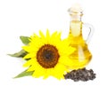 Sunflower seed oil Royalty Free Stock Photo