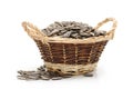 Sunflower seed Royalty Free Stock Photo