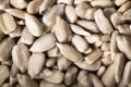 Sunflower seed texture as background. A close up shot of sunflower seeds. Royalty Free Stock Photo
