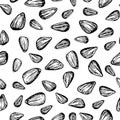 Sunflower seed vector seamless pattern. Hand drawn background. Food ingedient sketch. Royalty Free Stock Photo