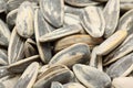 Sunflower seeds Royalty Free Stock Photo