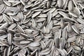 Sunflower seeds Royalty Free Stock Photo