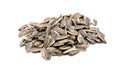 Sunflower seeds