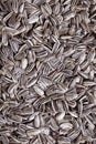 Sunflower seeds