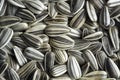 Striped sunflower seeds close-up Royalty Free Stock Photo