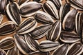 Sunflower seeds. Royalty Free Stock Photo