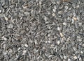 Sunflower seeds Royalty Free Stock Photo