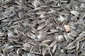 Sunflower seeds Royalty Free Stock Photo