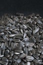 Sunflower seeds as background with black space Royalty Free Stock Photo