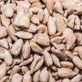 Sunflower seeds as food background Royalty Free Stock Photo