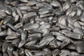 sunflower seeds background Royalty Free Stock Photo