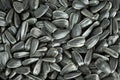 Sunflower seeds background Royalty Free Stock Photo