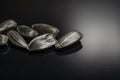 Sunflower seeds on a black background macrophoto