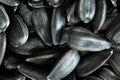 Sunflower seeds in a black shell. Macro shooting. Royalty Free Stock Photo