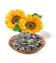 Sunflower seeds in a bowl, flower and salt isolated on white background Royalty Free Stock Photo