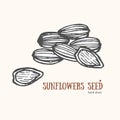 Sunflower Seeds Card Hand Draw Sketch. Vector Royalty Free Stock Photo