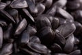 sunflower seeds close-up. Royalty Free Stock Photo