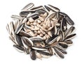 Sunflower seeds closeup on white background Royalty Free Stock Photo