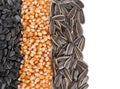 Sunflower seeds and corn kernels isolated on white, top view Royalty Free Stock Photo