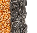 Sunflower seeds and corn kernels isolated on white, top view Royalty Free Stock Photo