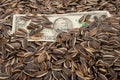 Sunflower seeds and dollars Royalty Free Stock Photo