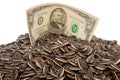 Sunflower seeds and dollars Royalty Free Stock Photo