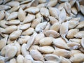 Sunflower seeds. Fresh sunflower seeds. close-up. white color