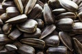 Sunflower seeds. A handful of background for texture Royalty Free Stock Photo