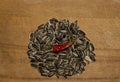 Sunflower seeds hot pepper health male Royalty Free Stock Photo