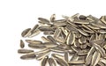 Sunflower seeds isolated on white background