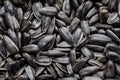 Sunflower seeds lying in a plate can serve as a background_ Royalty Free Stock Photo